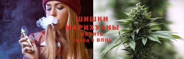 дурь Карпинск