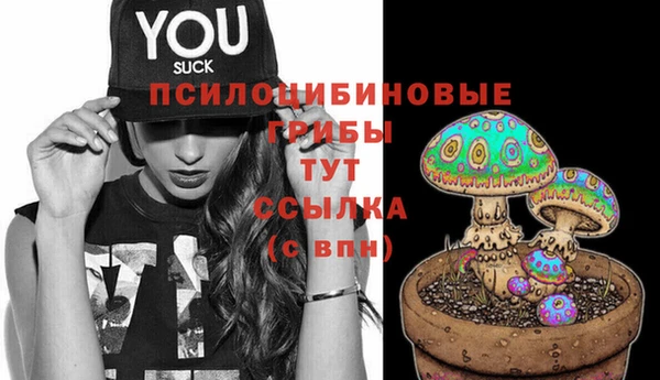 дурь Карпинск