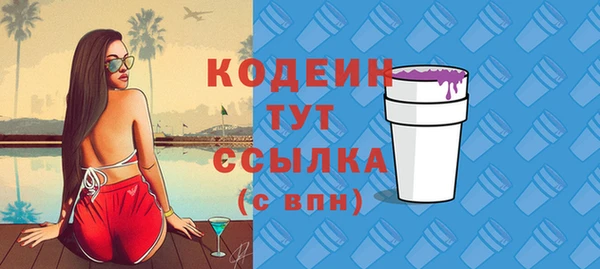 дурь Карпинск