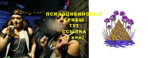 дурь Карпинск
