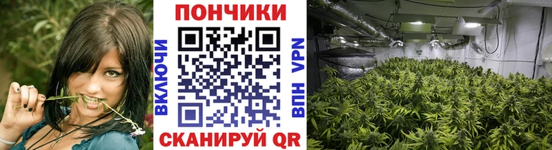Купить закладки  Владивосток  Бошки марихуана тримм 